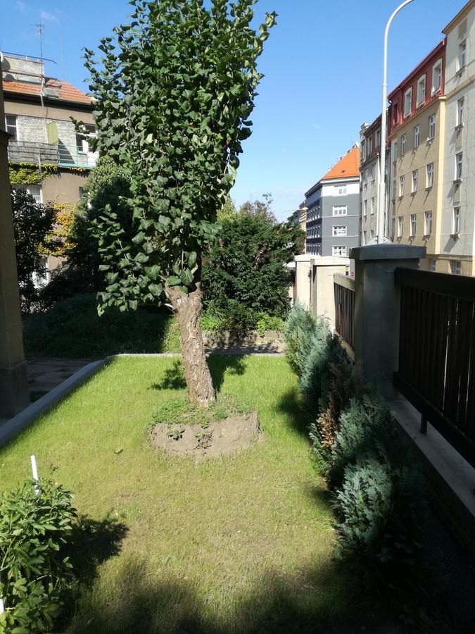 Jezerka * Praha